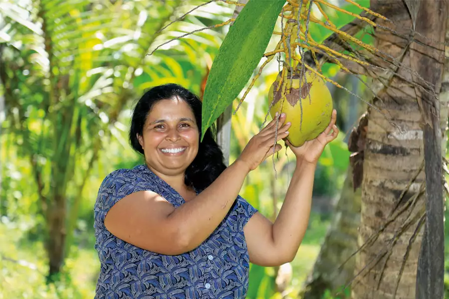 10 Jahre bio-faires Kokosöl