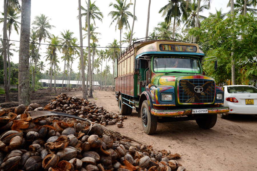 I camion di proprietà protetti con GPS prelevano le noci di cocco presso i coltivatori e le portano al mulino