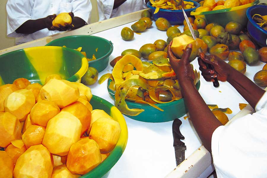 The fruits are peeled and cut by hand