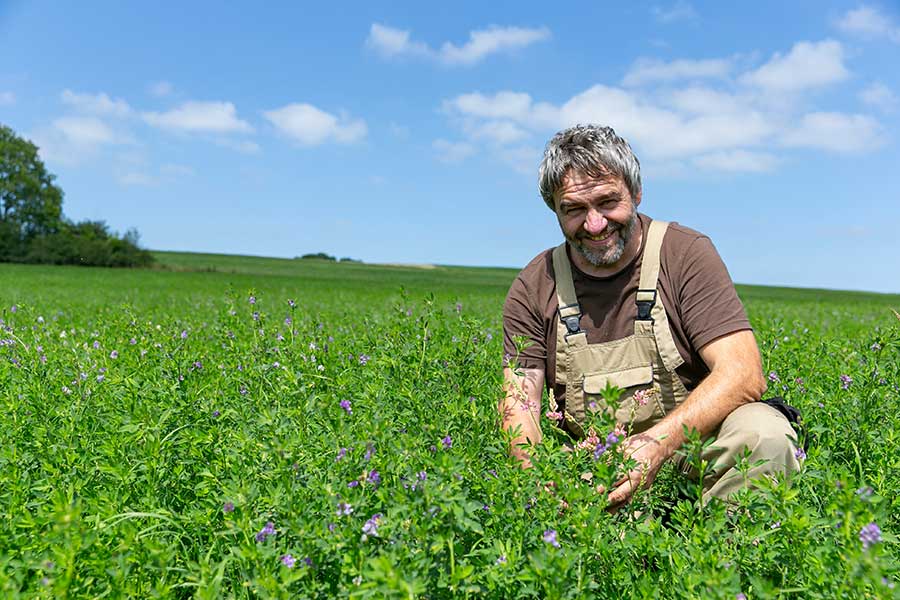 Ökologischer Landbau & Biodiversität