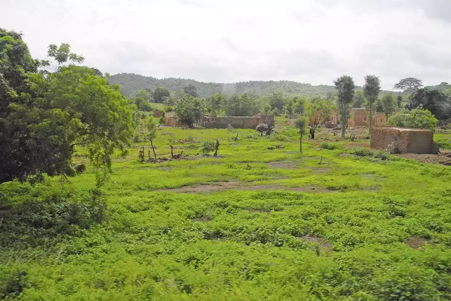 Typisches Landschaftsbild auf dem Weg zu den Mango-Produzenten in Bobo- Dioulasso