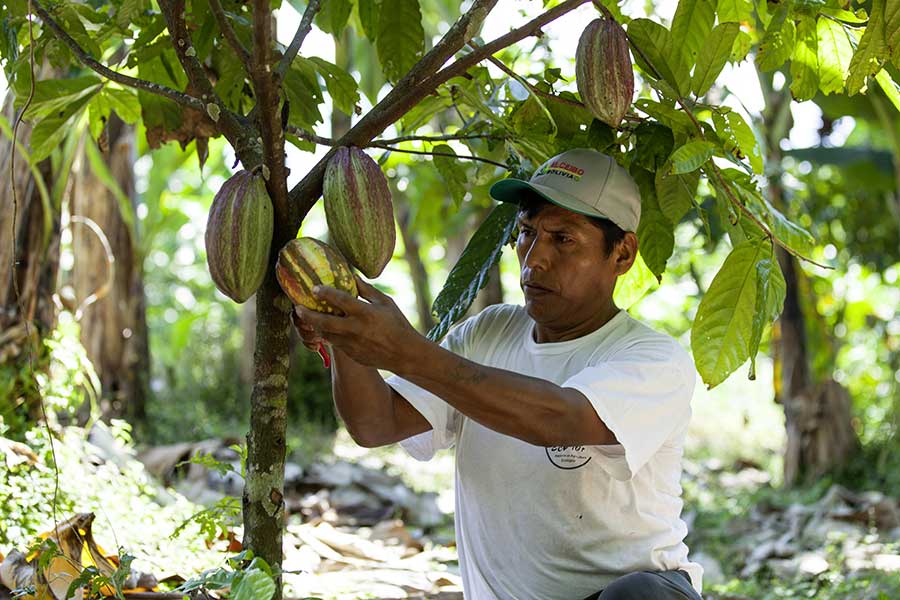 Perspectives across generations – also thanks to educational programmes and tree nurseries.