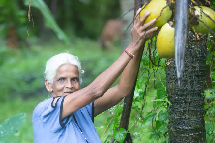 10 Jahre bio-faires Kokosöl