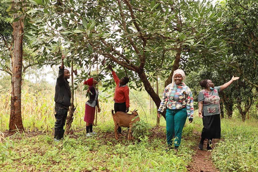 More security, better prospects – that is what LIMBUA's vision brings to the families on Mount Kenya.