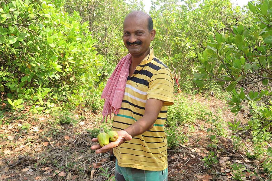 In the long run, the farmers profit from a greater biodiversity