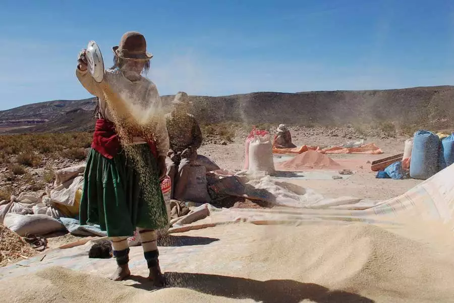 HAND IN HAND-Lieferantenportrait: Quinoa aus Bolivien 