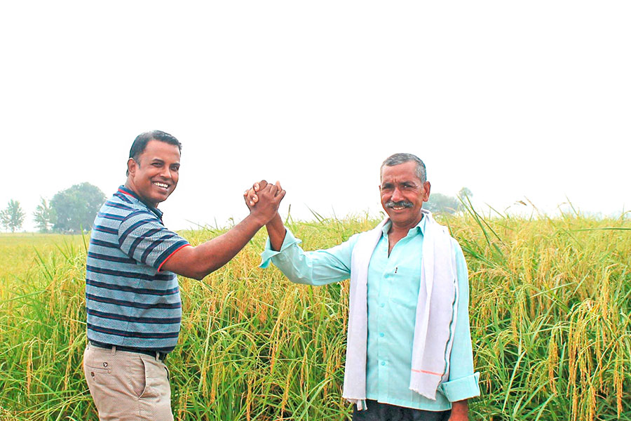 Basmati rice supplier portrait