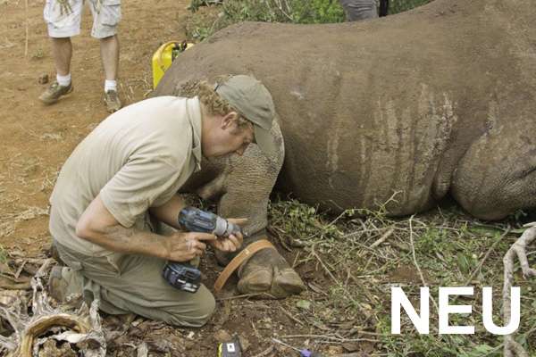 Protection of Rhinoceroses, South Africa