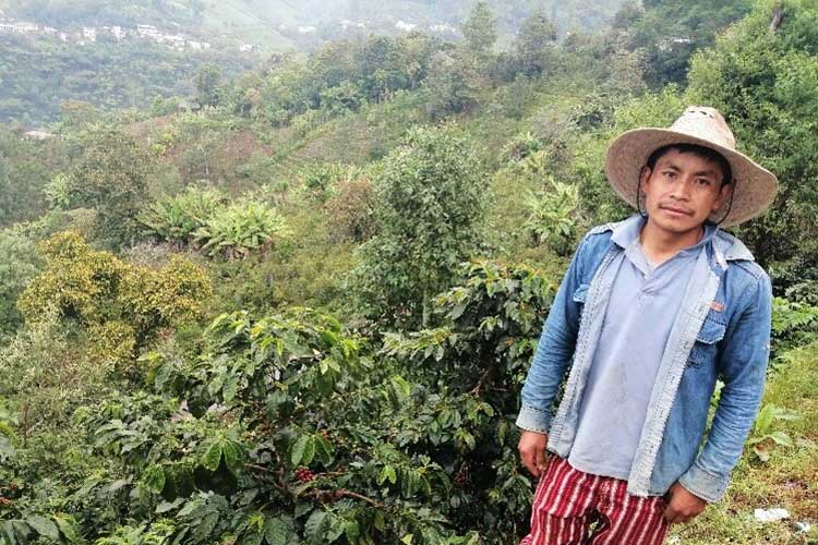 Coffee farmer Porfirio Baldemar Velásquez Calmo in his forest garden