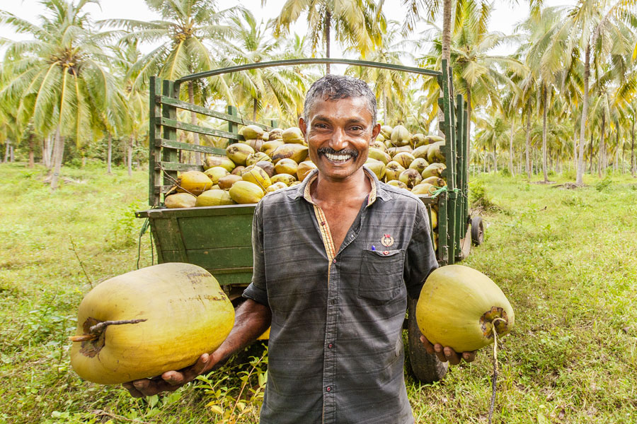 H M Samantha Ekanayaka, Serendipol, Sri Lanka