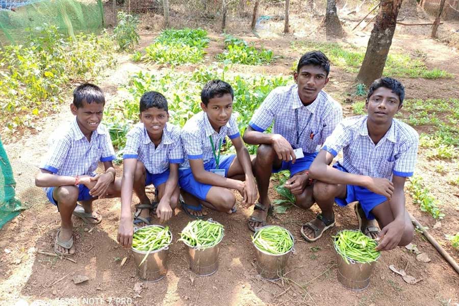 School gardens support environmental education