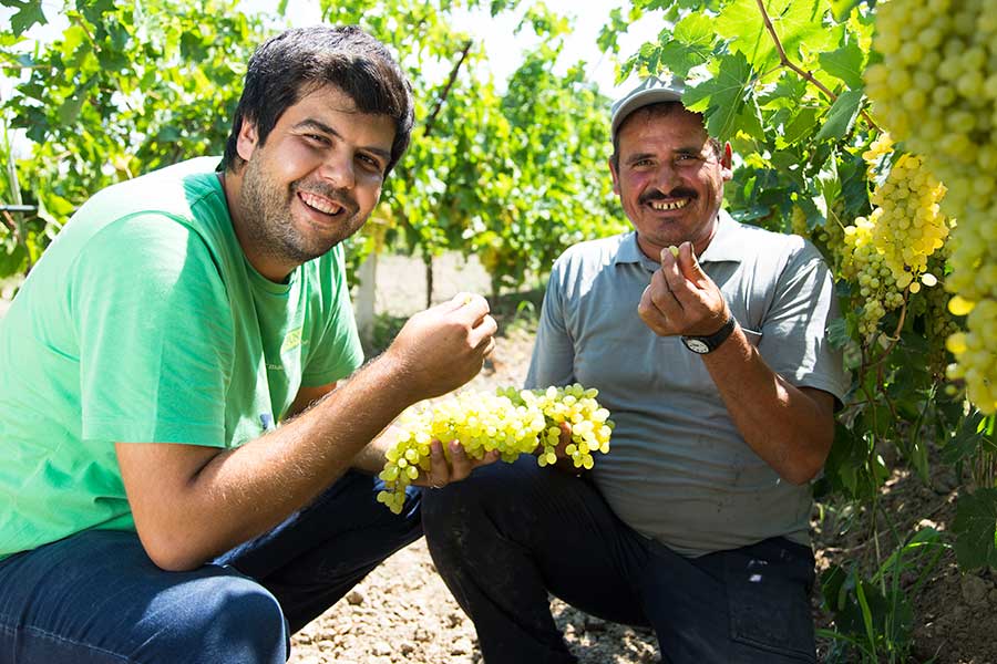 Organic farmers like Ramazan Bilgin (right) appreciate the counselling from Rapunzel's agricultural engineers. It took Ramazan three years to convert to organic farming and until Rapunzel purchased organic sultanas from him. The agricultural engineers from Rapunzel support the farmers already during this transition phase. Organic farmers like Ramazan Bilgin (right) appreciate the counselling from Rapunzel's agricultural engineers. It took Ramazan three years to convert to organic farming and until Rapunzel purchased organic sultanas from him. The agricultural engineers from Rapunzel support the farmers already during this transition phase.