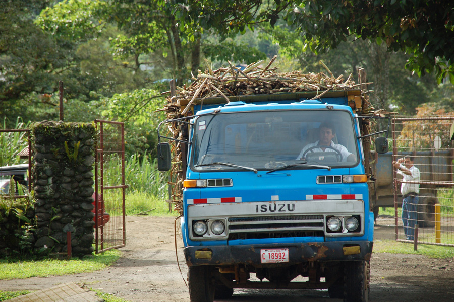 Sugar cane delivery in Assukar