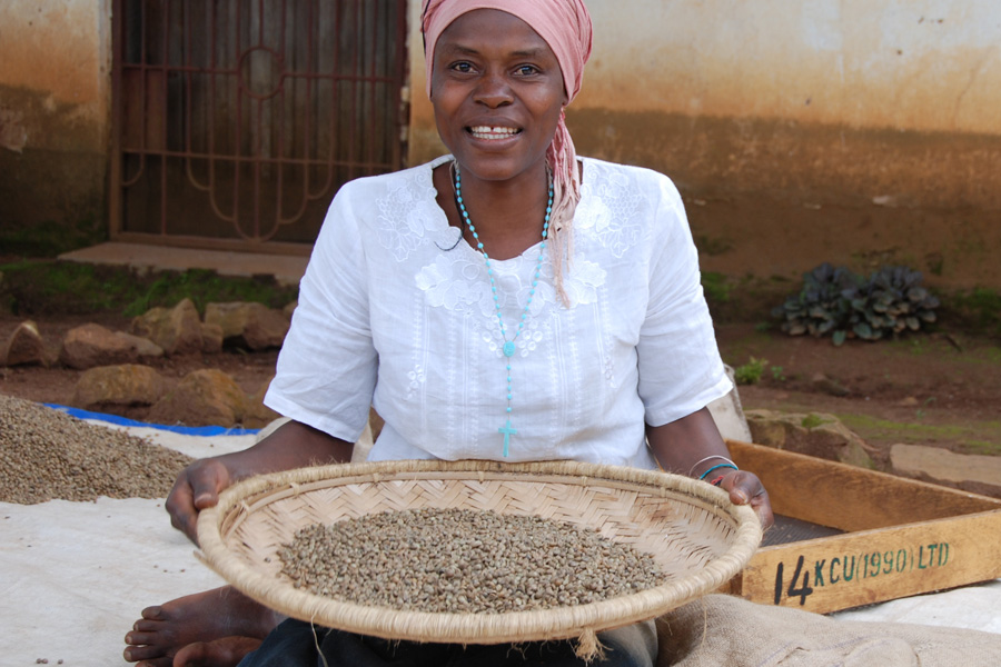 Worker at the KCU coffee Cooperative Worker at the KCU coffee Cooperative