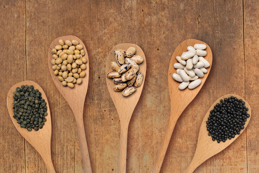 Legumes Legumes