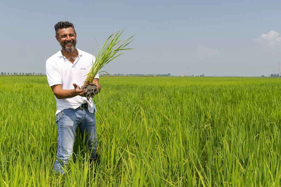 Product Knowledge: Rice Product Knowledge: Rice