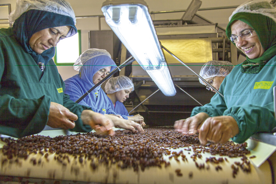 Seats and good illumination facilitate the work for the female employees who sort the sultanas by hand Seats and good illumination facilitate the work for the female employees who sort the sultanas by hand