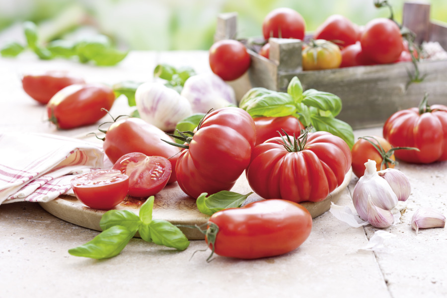 Tomato & vegetable sauces Tomato & vegetable sauces