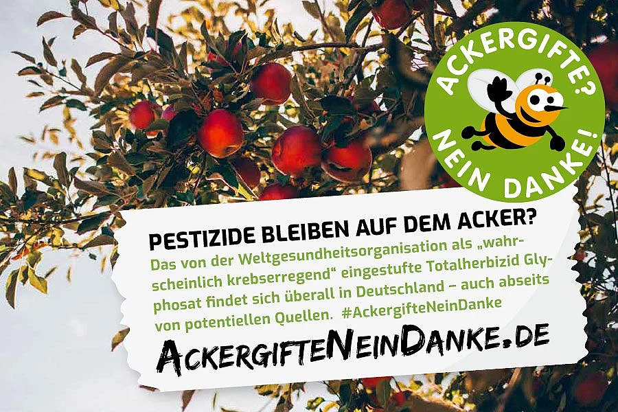Apfelbaumkrone mit roten Äpfeln. Mit Text: Pestizide bleiben auf dem Acker?