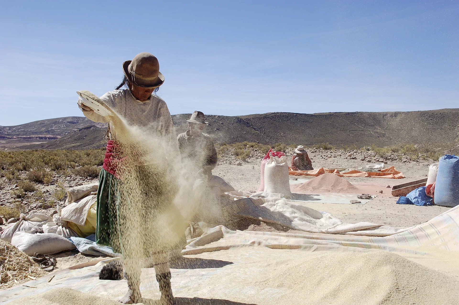 Bäuerin bei Quinoa-Reinigung auf dem Feld. Quinoa-Bäuerin wirft Quinoa-Körner in den Wind, um sie so zu reinigen.
