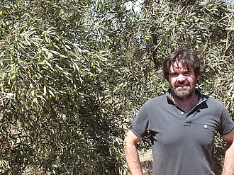 Victor Pérez – Agraringenieur der Finca La Torre vor Olivenbaum. Victor Pérez, leitender Agraringenieur der Finca La Torre, steht vor einem Olivenbaum in Andalusien – nachhaltiger Olivenanbau und die Koordination der Olivenernte.