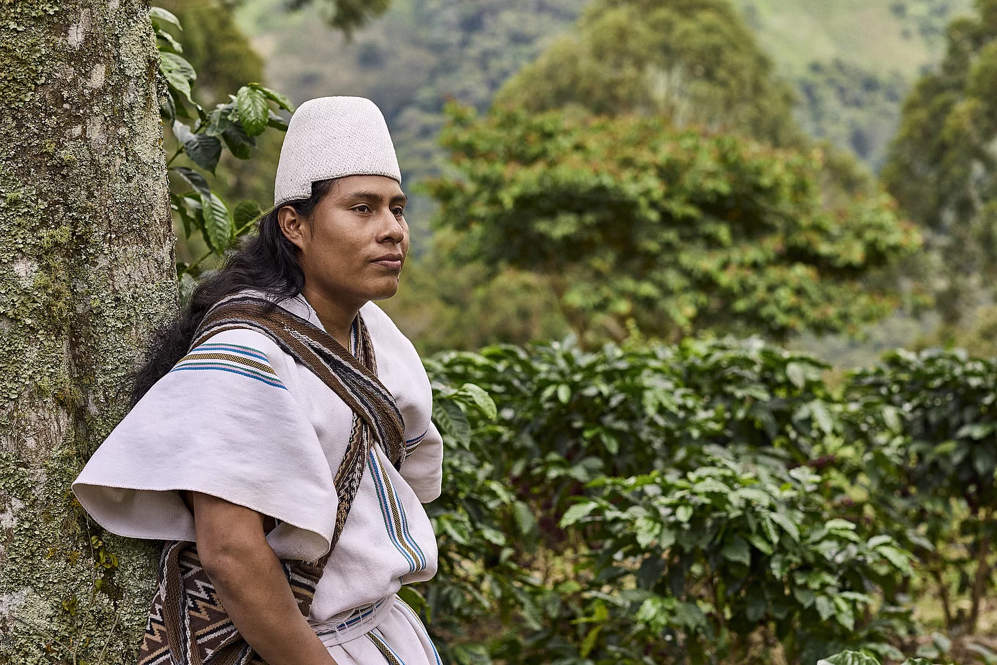 Traditioneller Kaffeeanbau im Einklang mit der Natur ist für ANEI essenziell. Ein traditioneller Kaffeebauer beim Blick über das weite und grüne Hochland.