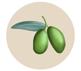 Olivenöl