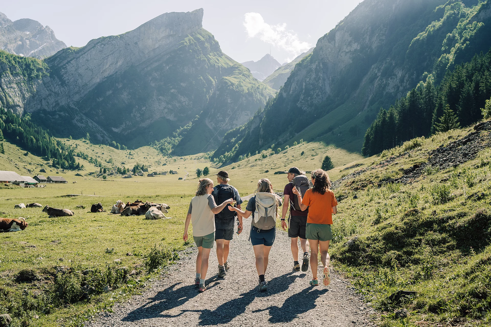 Eine Gruppe von fünf Leuten wandern inmitten grüner Wiesen auf ein Alpenpanorama zu.