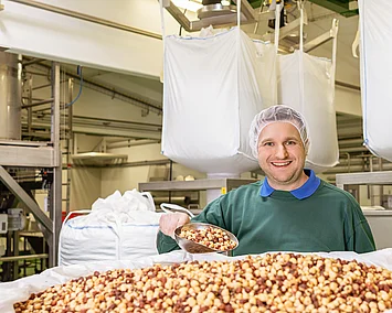 Mitarbeiter entnimmt Haselnüsse aus einem Big Bag mit einem Schäufelchen, um die Qualität zu überprüfen.