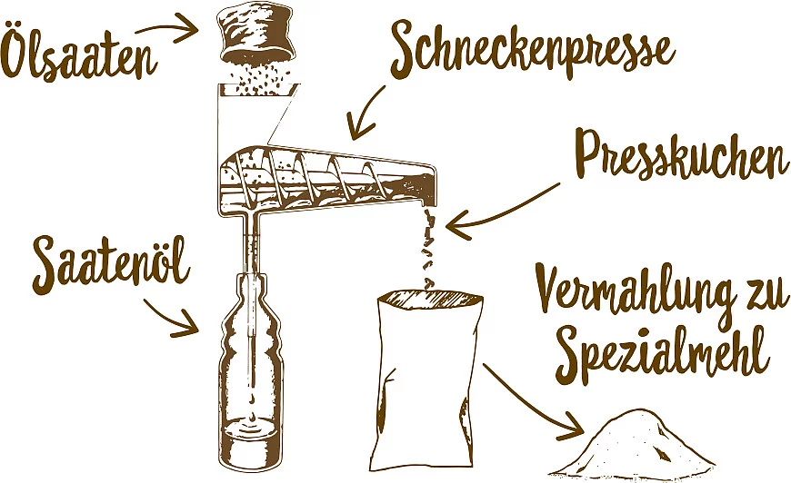 Herstellungsprozess von Hanf- und Leinmehl. Gezeichnetes Schema zum Herstellungsprozess von Hanf- und Leinmehl, beides wird in der Rapunzel Ölmühle im Allgäu hergestellt.