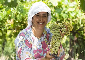 Rapunzel Türkei Projekt Sultaninen, eine Bäuerin in der Türkei bei der Traubenernte.