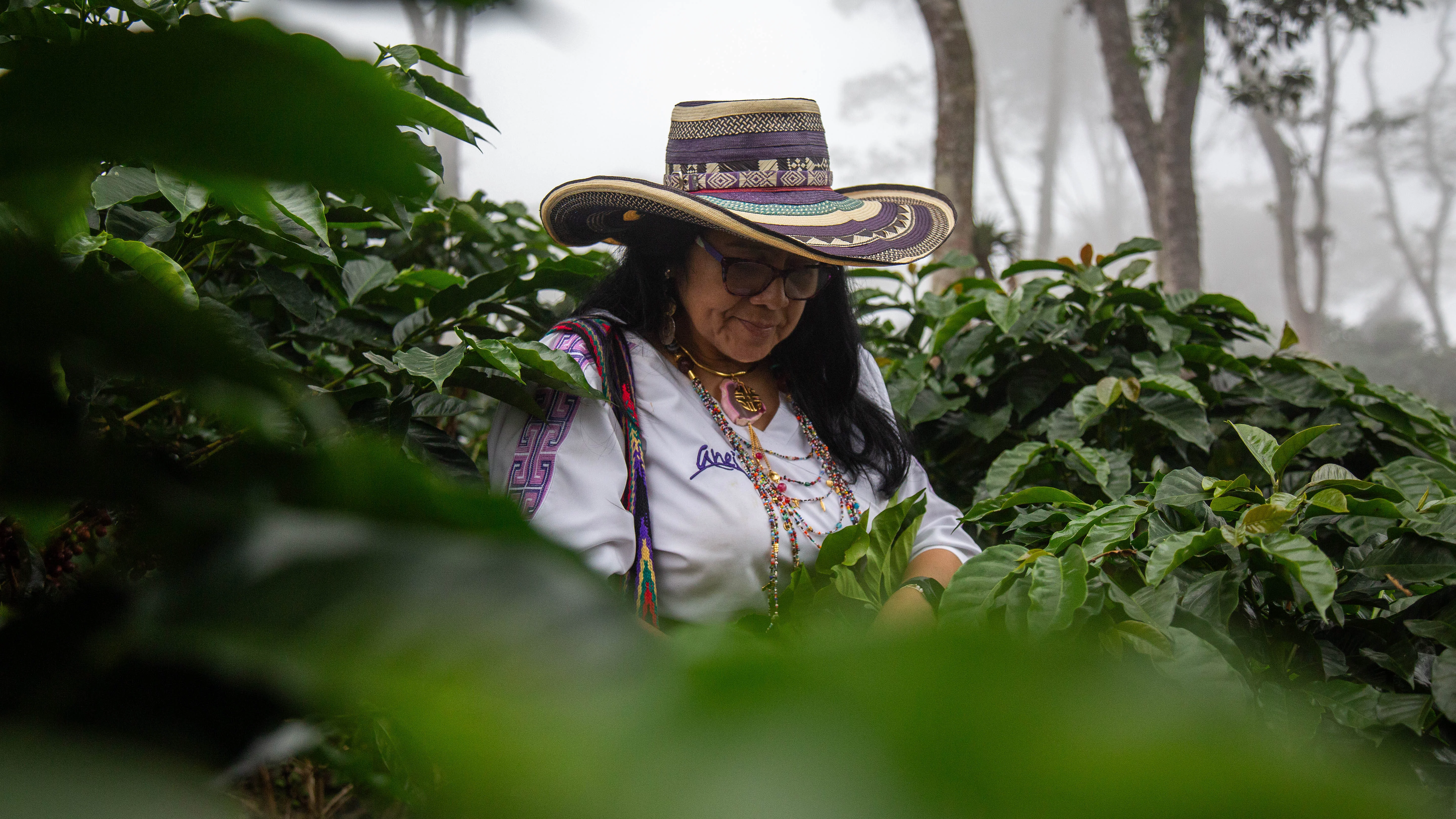 Aurora CEO von der Kooperative Anei im kolumbianischen Dschungel bei den Kaffeeplantagen