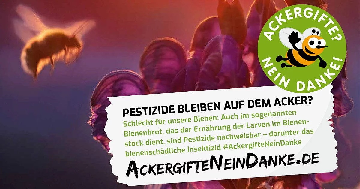 Eine Biene fliegt in der Abenddämmerung zu einer Blüte. Mit Text: Pestizide bleiben auf dem Acker?