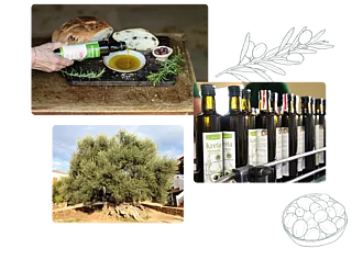 Collage aus drei Bildern zum Olivenöl - gezeigt werden abgefüllte Flaschen in der Produktion, ein alter Olivenbaum und eine Flasche Rapunzel Polyphenolia, deren Inhalt in eine Schüssel gegossen wird.