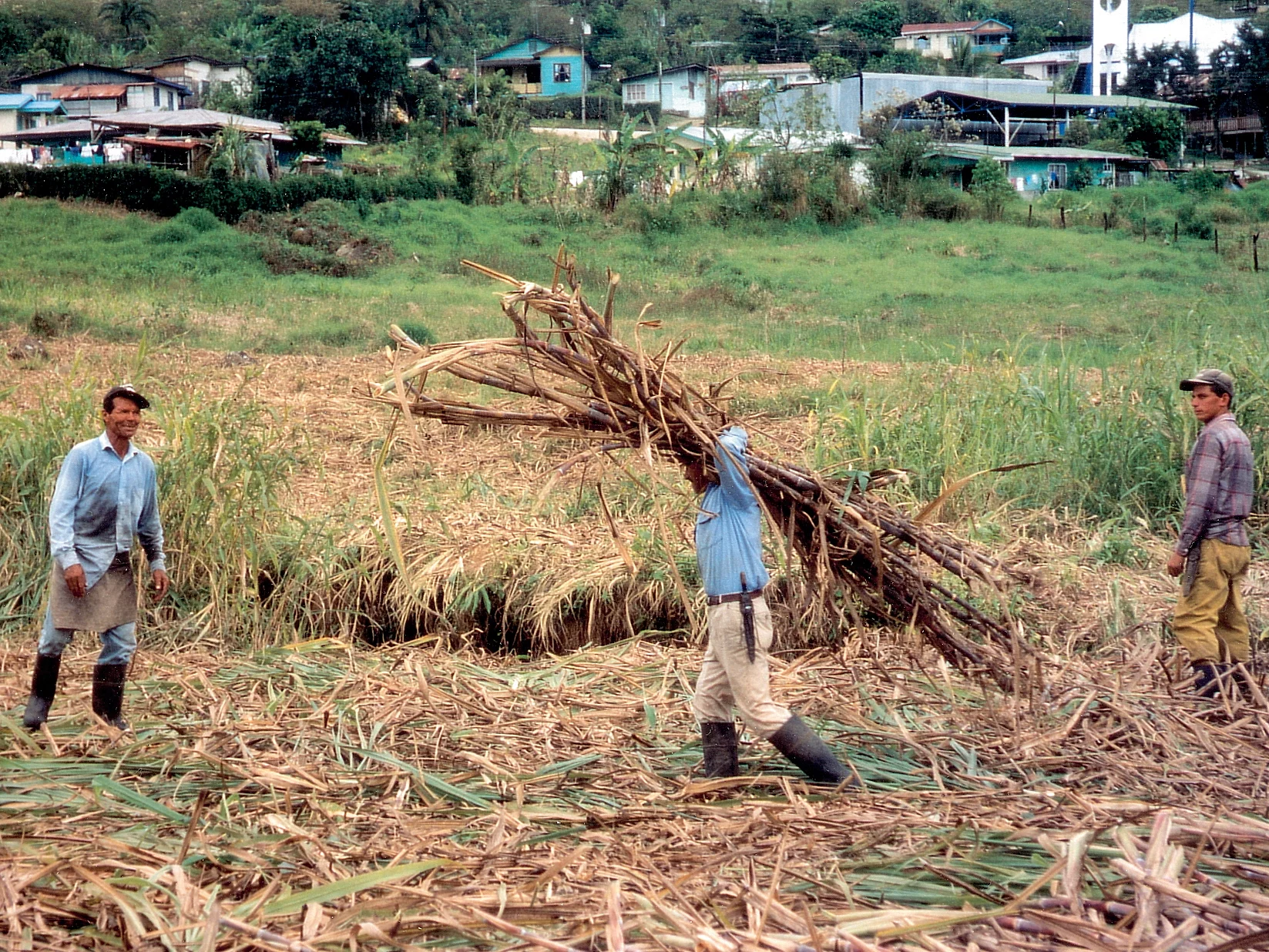 Eine Gruppe von Zuckerrohrbauern bei der Ernte auf dem Feld.