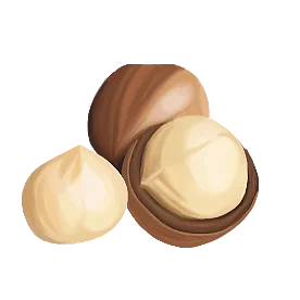 Macadamia