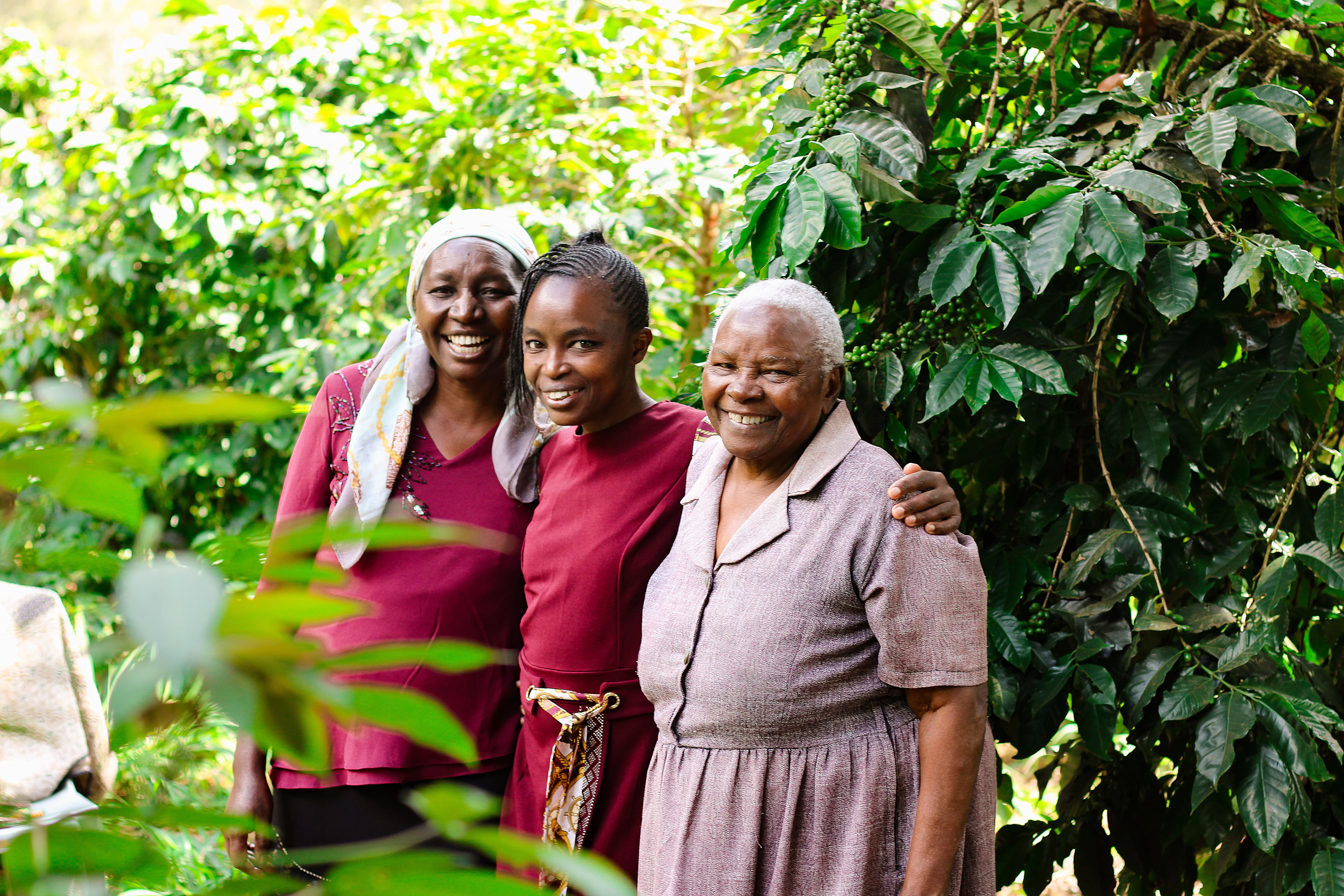 Drei Bäuerinnen, die in die Kamera strahlen und neben Kaffeesträuchern stehen.