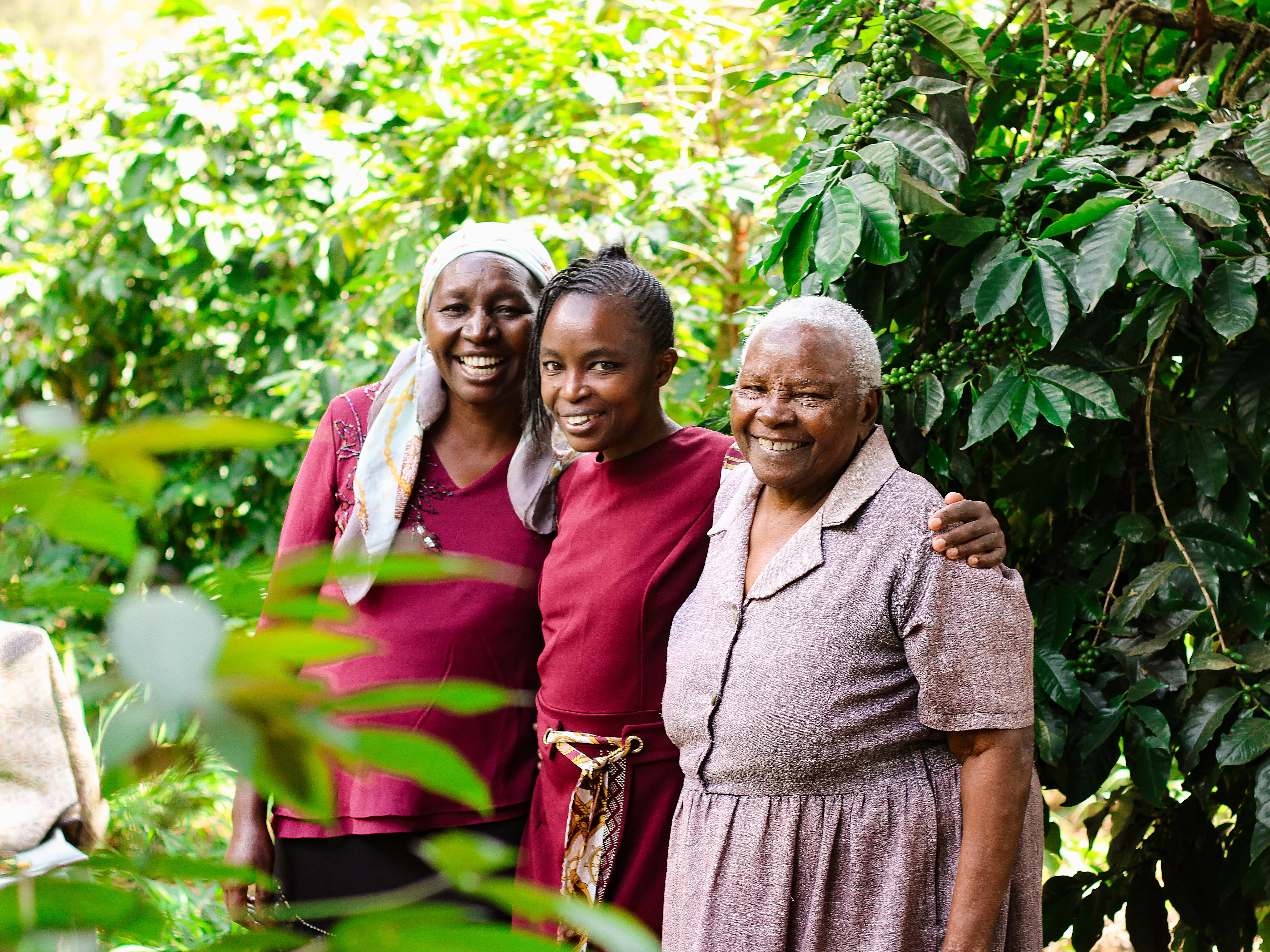 Drei Bäuerinnen, die in die Kamera strahlen und neben Kaffeesträuchern stehen.
