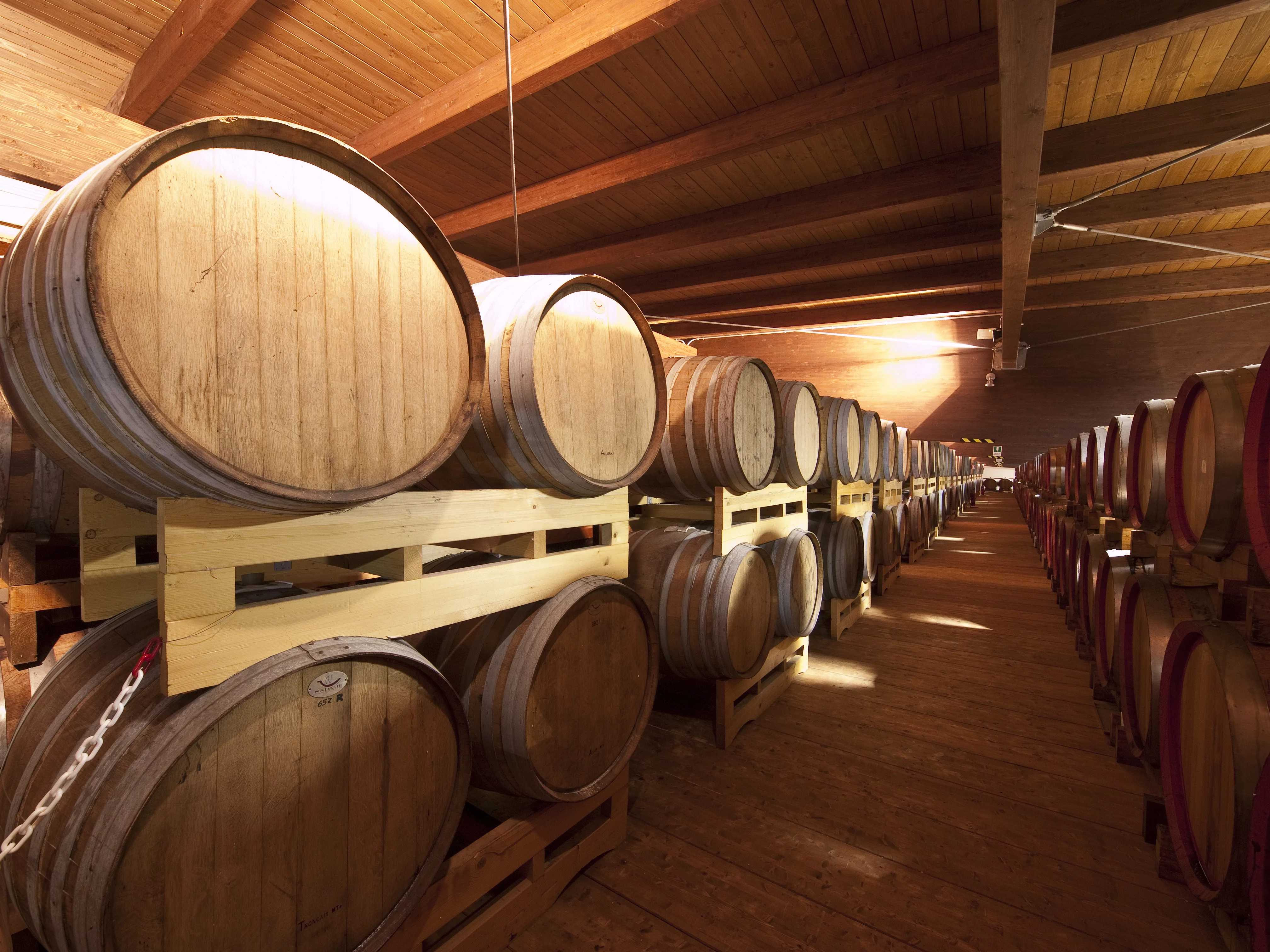 Blick in einen Lagerraum von Acetum, je kleiner die Fässer, desto konzentrierter und älter ist der Traubenmost.