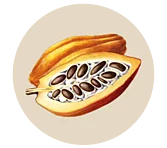 Kakao