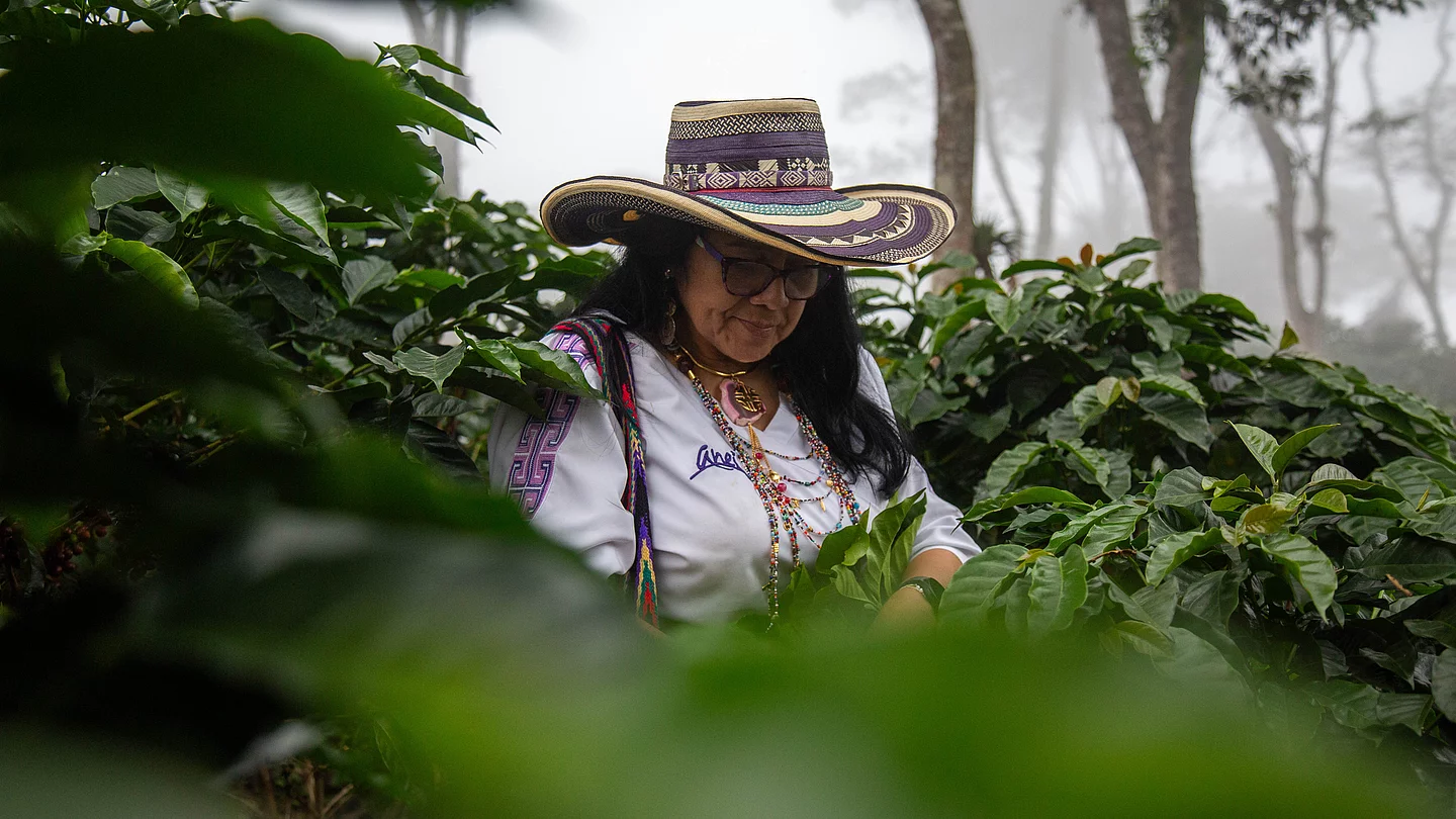Aurora CEO von der Kooperative Anei im kolumbianischen Dschungel bei den Kaffeeplantagen
