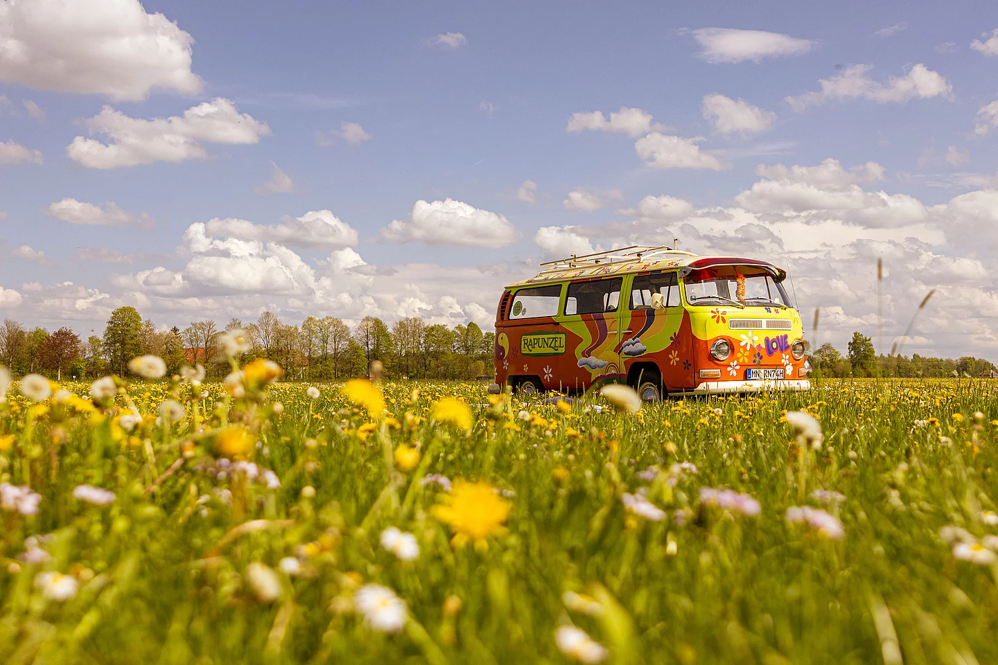 Rapunzel Bulli seitlich Rapunzel VW Bus auf Löwenzahnwiese