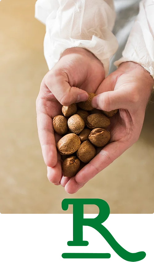 Hand mit Nüssen Hand gefüllt mit Nüssen - in einem Herz geformt