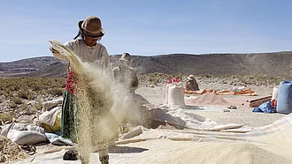 Quinoa-Bäuerin wirft Quinoa-Körner in den Wind, um sie so zu reinigen.