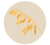 Haferflocken