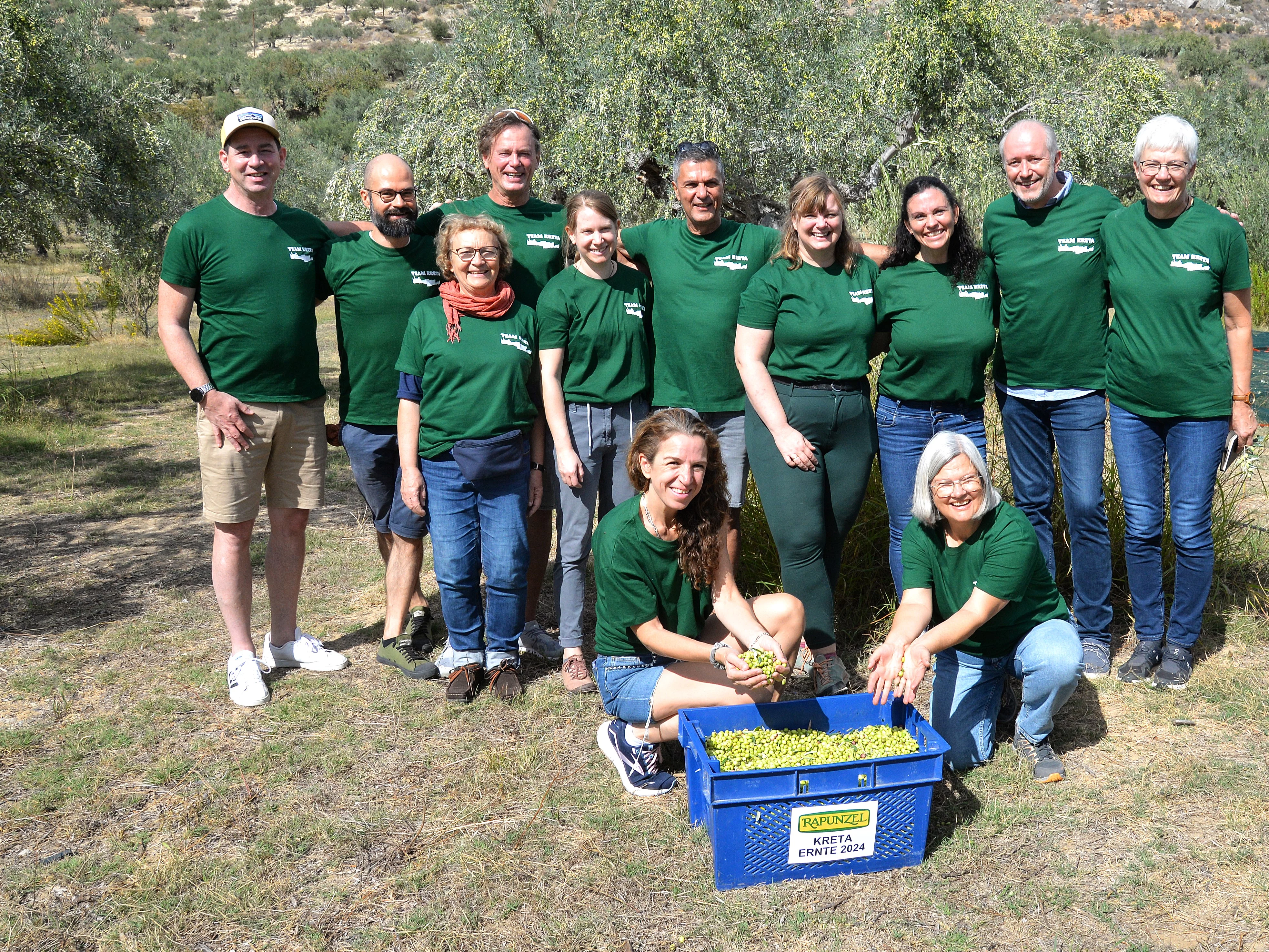 Rapunzel Team bei der Olivenernte 2024 auf Kreta – Bio-Oliven frisch geerntet. Rapunzel Mitarbeiterinnen und Mitarbeiter helfen 2024 bei der Olivenernte auf Kreta, vor ihnen eine blaue Kiste mit frisch geernteten Bio-Oliven.