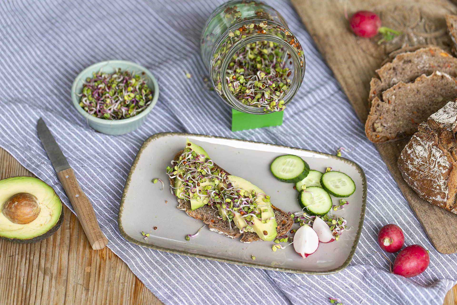 Sprossenbrot mit Radieschensprossen. Sprossenbrot mit Radieschensprossen, Avocado und Gurke.