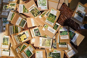 Diverse Samentüten beim Rapunzel Samenfest in einem Korb arrangiert.