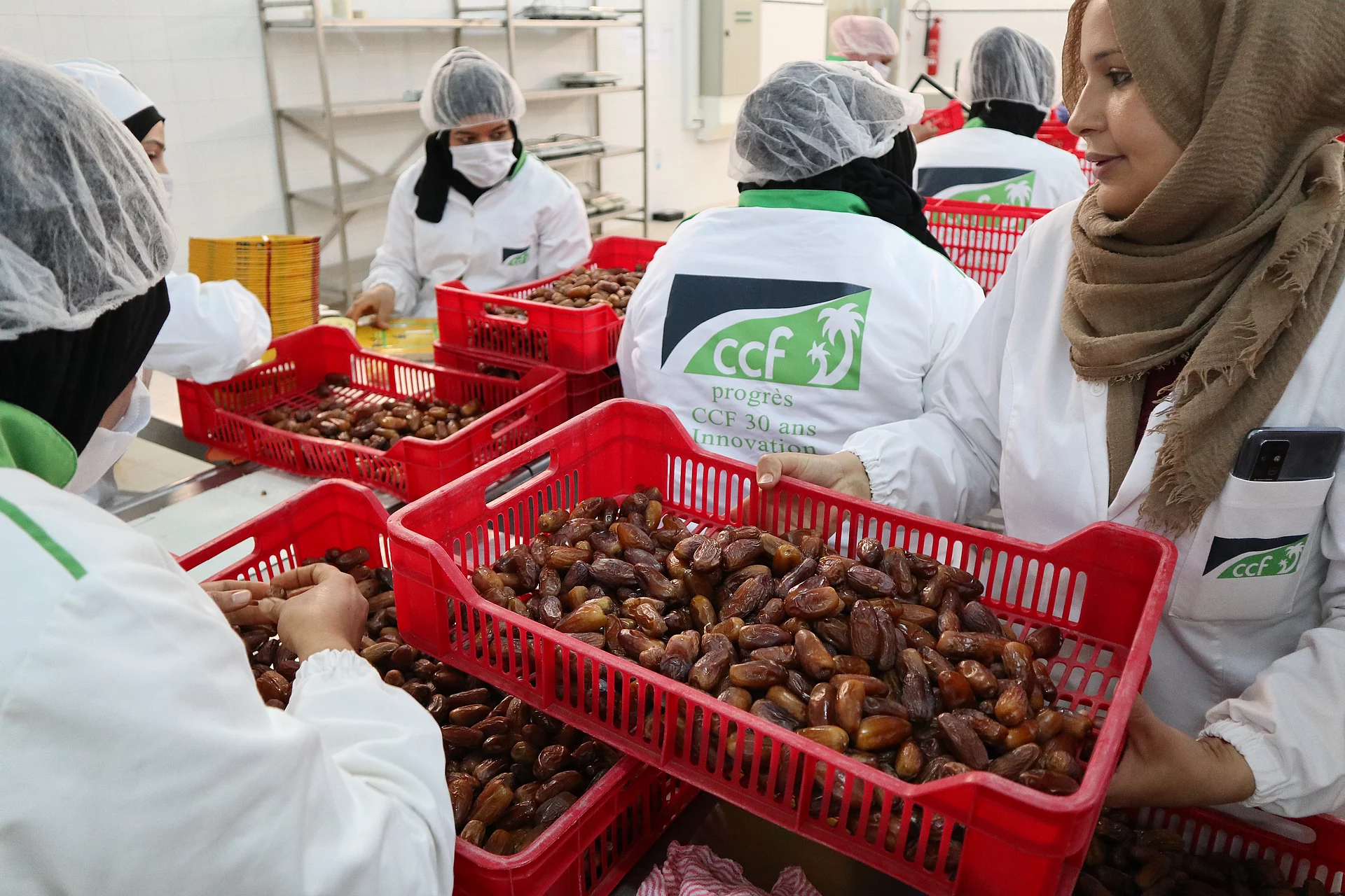 In der Verarbeitung in Douz erhalten Frauen eine sozialversicherte Festanstellung. Frauen bei der Verarbeitung der geernteten Datteln in einer Produktionsstätte.
