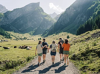 Eine Gruppe von fünf Leuten wandern inmitten grüner Wiesen auf ein Alpenpanorama zu.